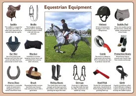 Equestrian Equipment Poster
