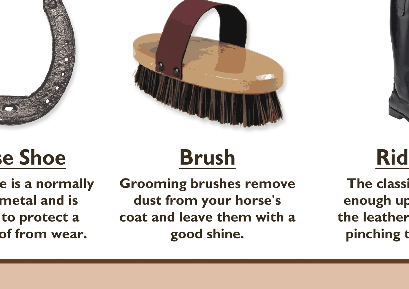 Equestrian Equipment Poster