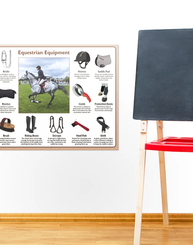 Equestrian Equipment Poster