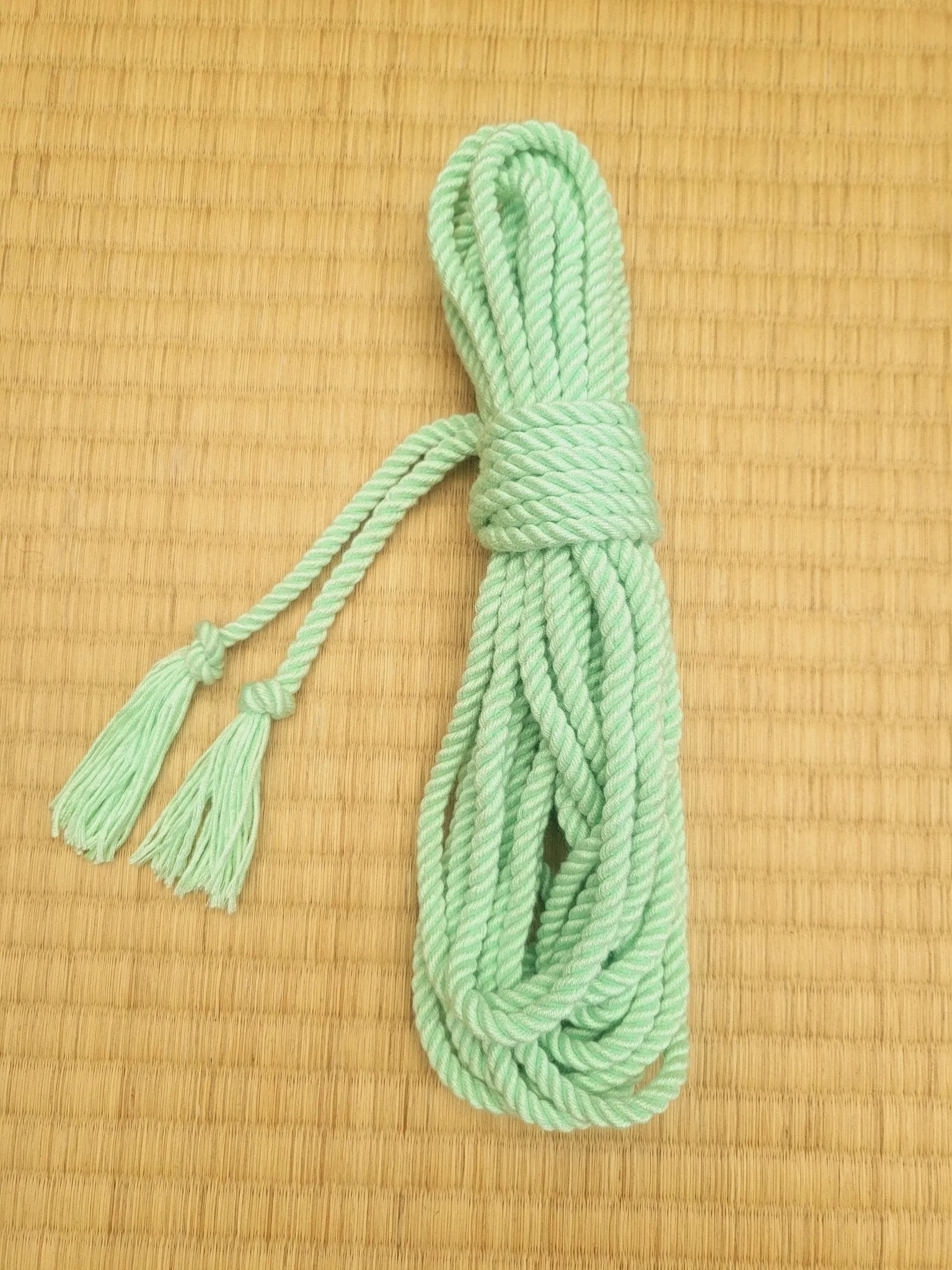 Mint Green Shibari Bondage Rope