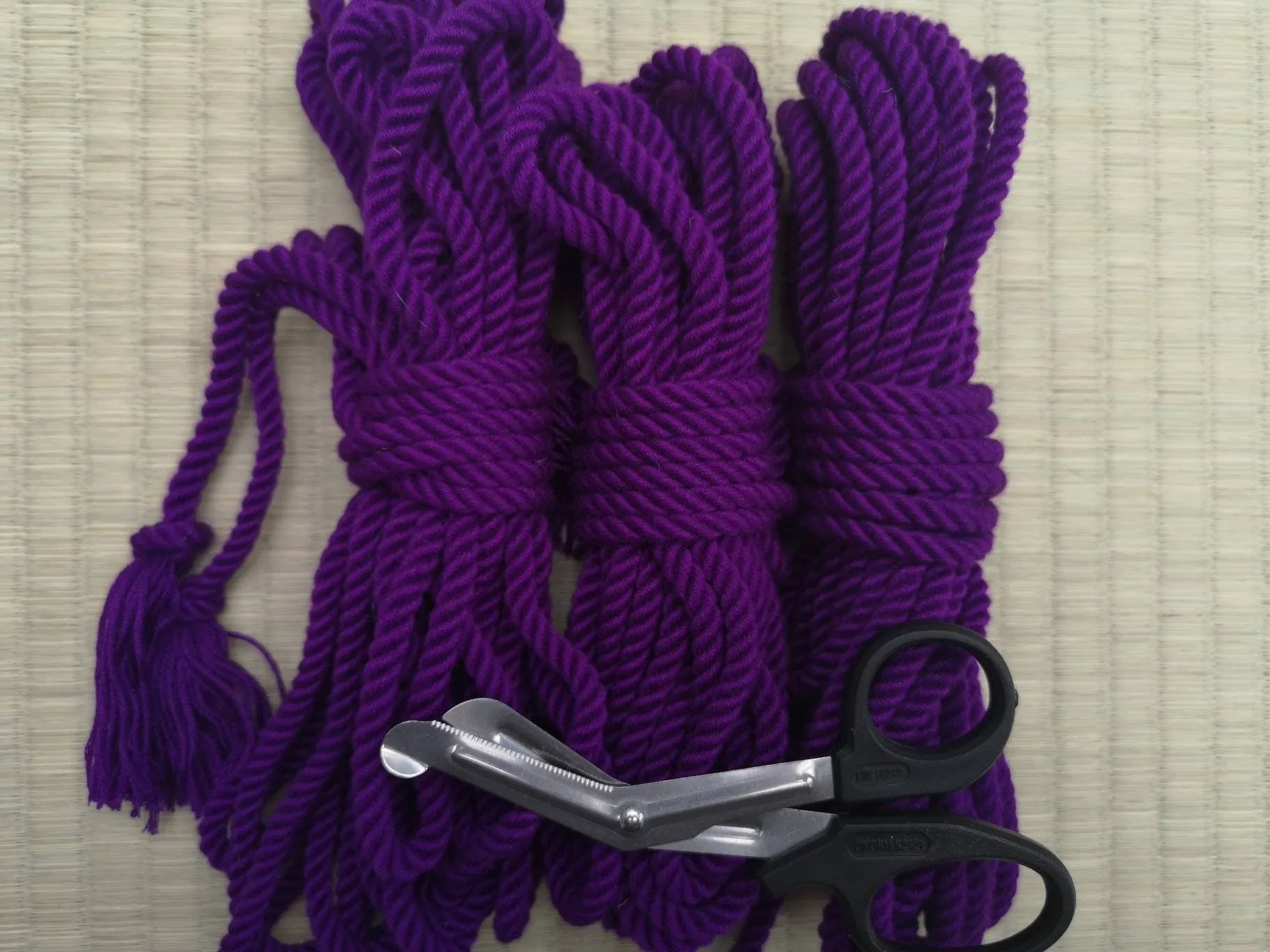 Violet Bamboo Shibari Bondage Rope